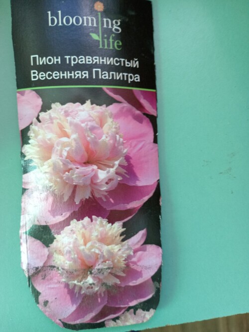 BIRKA7f5e91dff595fe1d.jpg