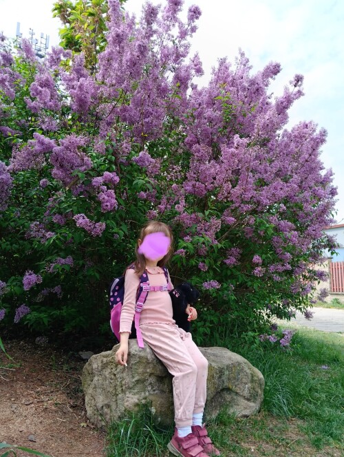 10000052981cb5fec5dcd5bfee.jpg