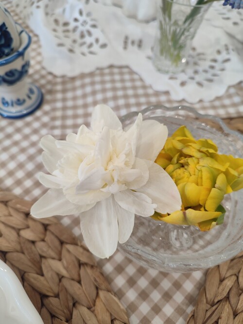 IMG 20260507 153649