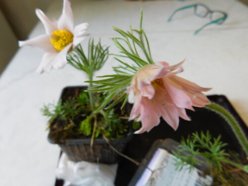 DSCN3839