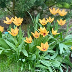 IMG_1614aa246335bc4d6aa5