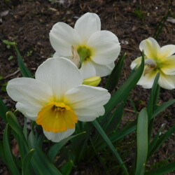 DSCN35800acc50d2b8190ea1