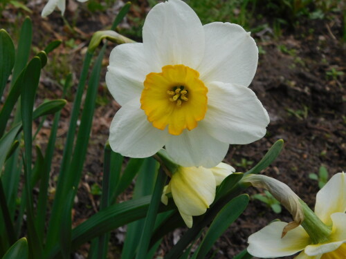 DSCN362122cc948586aa9bba.jpg