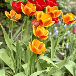 IMG_164959477d151576e963