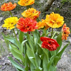 IMG_1686b98bb61a3220aa5e