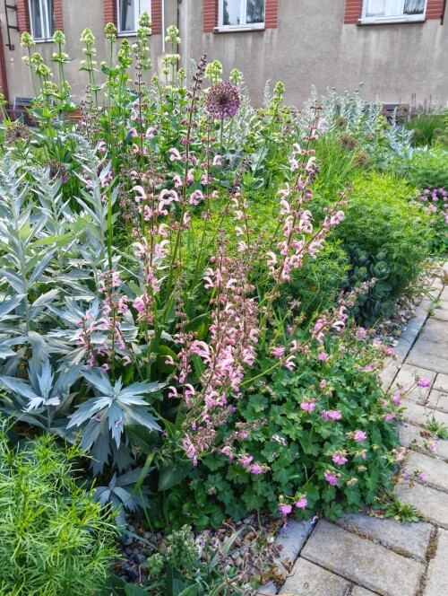 10000054386e6643b5207f7a6b.jpg