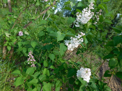 DSCN4325485583f8bead9cb3.jpg