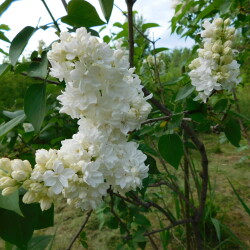 DSCN4386ad5d8212e64e860a