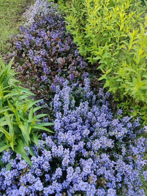 IMG_20260528_2306595b0c52ef7ef0e45e.jpg