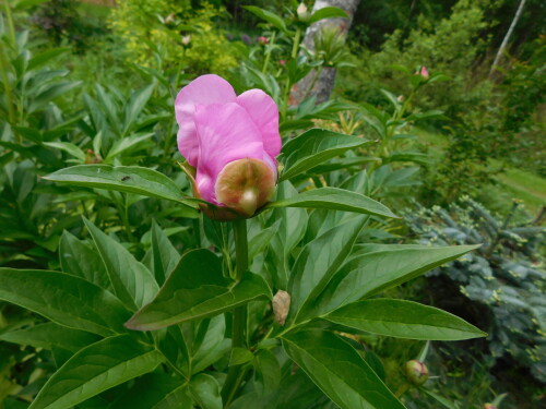 DSCN4499ea8ab400e5b1eec3.jpg