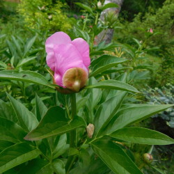 DSCN4499ea8ab400e5b1eec3